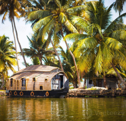Classic Backwater Day Cruise